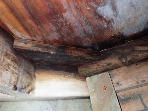 What is a Weathertightness survey?